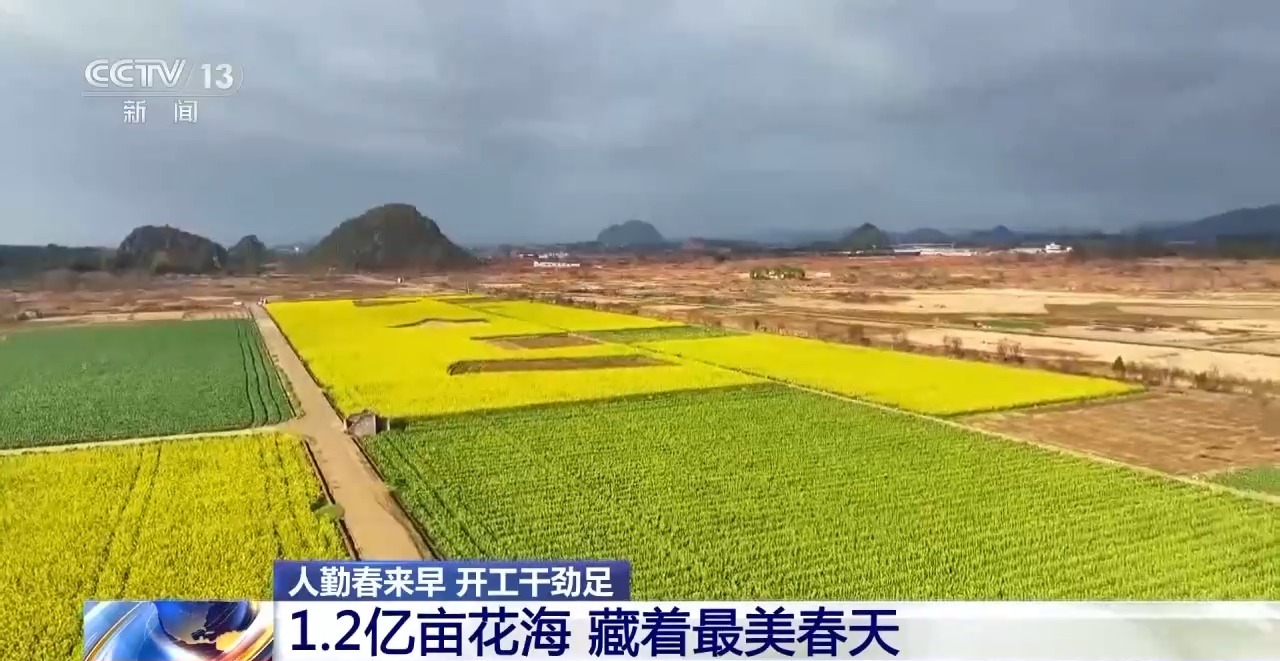 人勤春来早 开工干劲足丨花田火锅、花田咖啡 花海背后藏着消费新场景