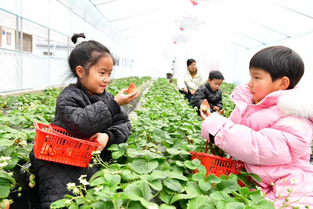 “新”意满满 多地中小学迎接新学期