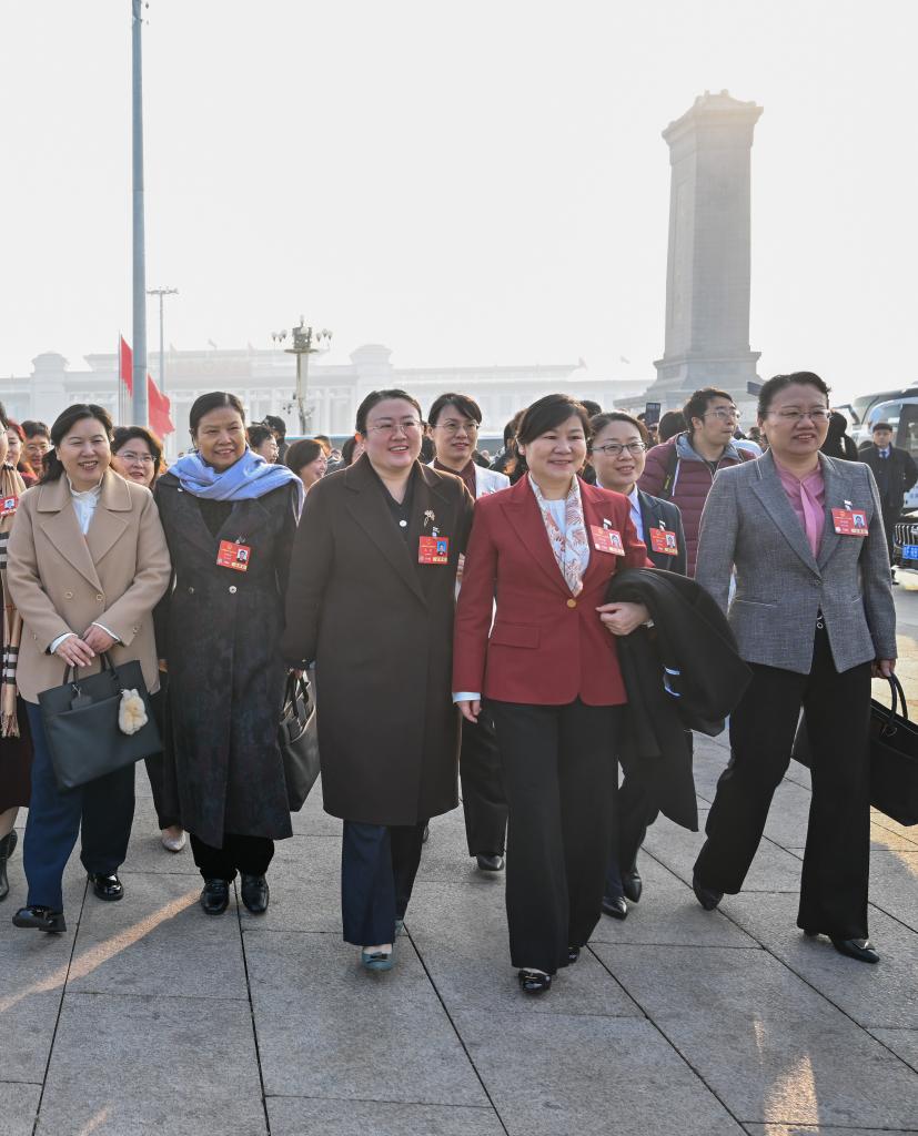 十四届全国人大三次会议举行第二次全体会议