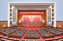 发挥制度优势 汇聚奋进力量