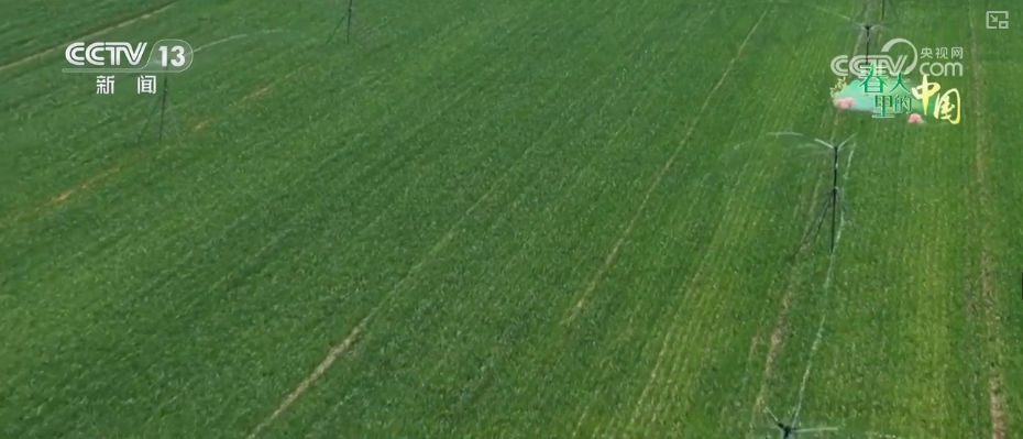 农业生产向“智”向“新” “太空紫云英”化为春泥助春耕