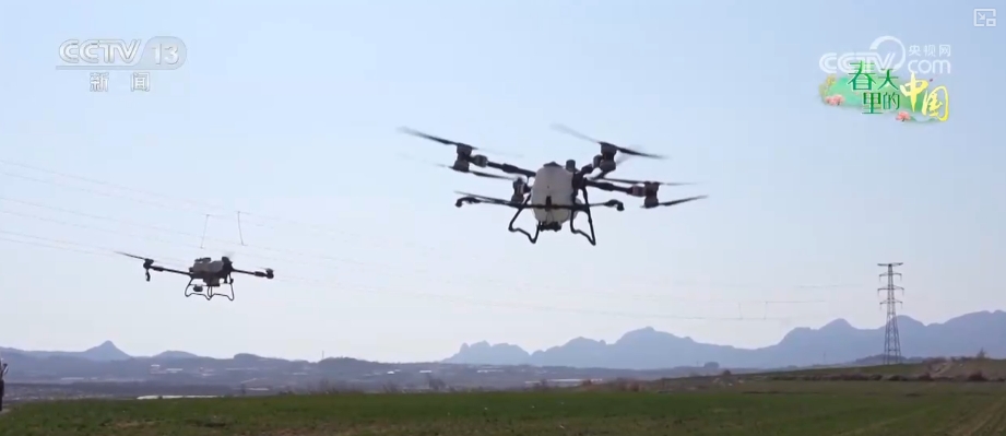 农业生产向“智”向“新” “太空紫云英”化为春泥助春耕