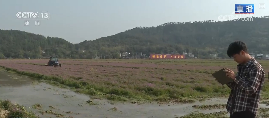 农业生产向“智”向“新” “太空紫云英”化为春泥助春耕