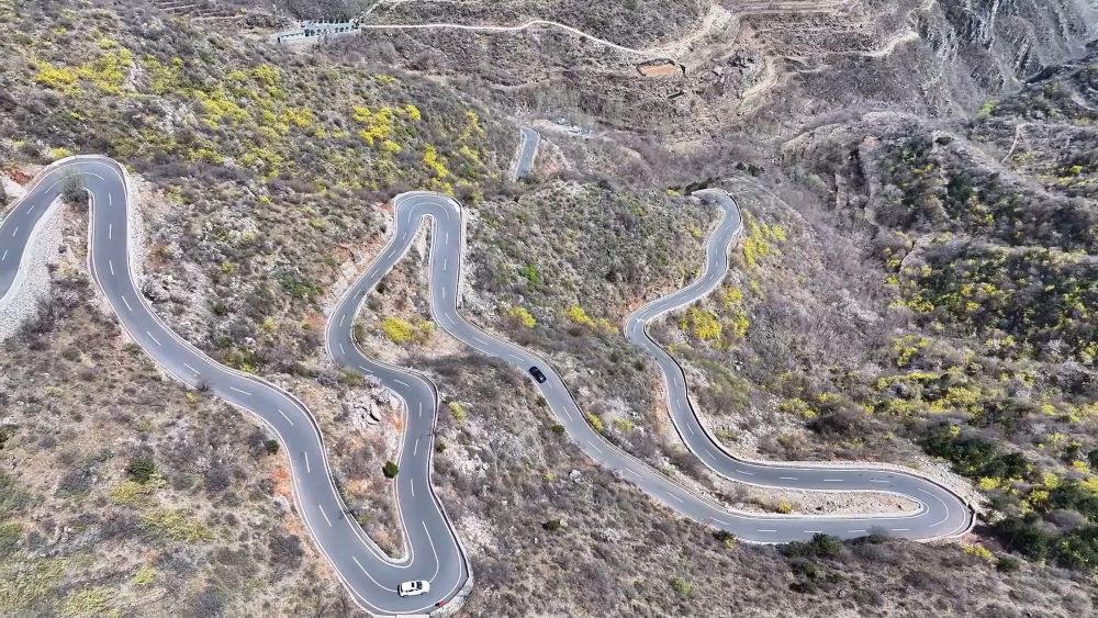 踏春赏花享胜景 文旅融合热力足——透视清明小长假出行消费亮点