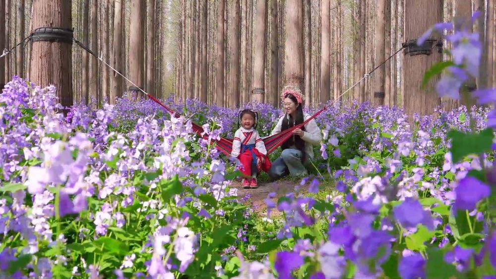 踏春赏花享胜景 文旅融合热力足——透视清明小长假出行消费亮点