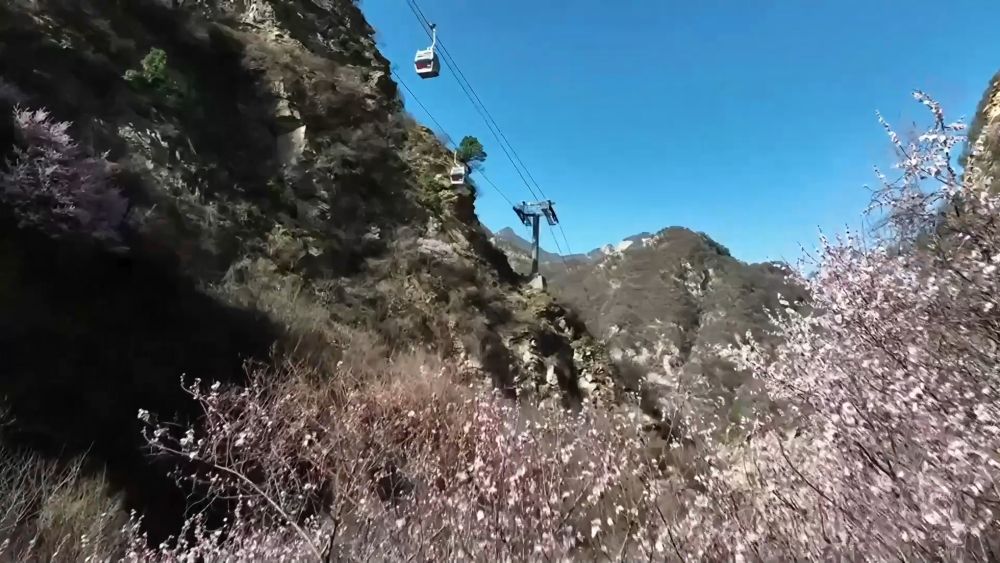 踏春赏花享胜景 文旅融合热力足——透视清明小长假出行消费亮点