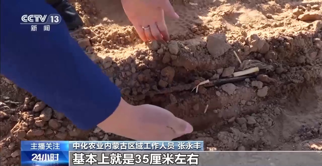 春意浓,农事兴 多地春耕春播有序进行中