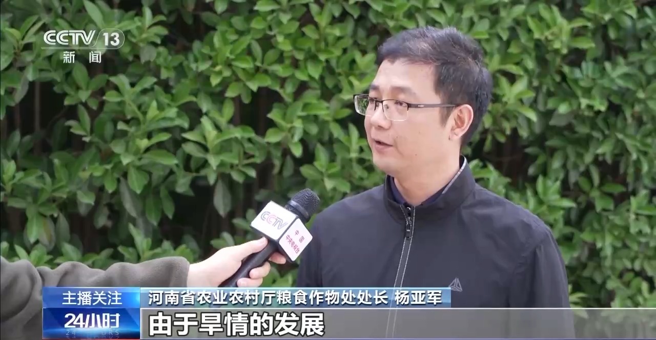 春意浓,农事兴 多地春耕春播有序进行中