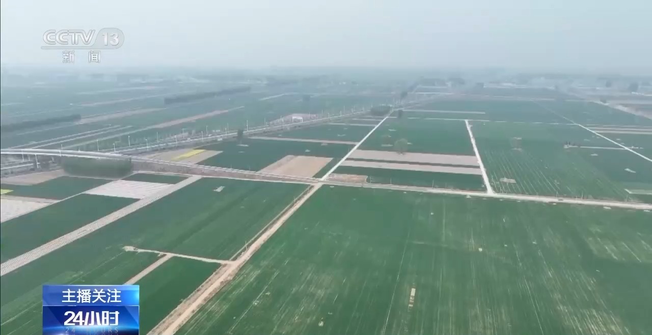 春意浓,农事兴 多地春耕春播有序进行中