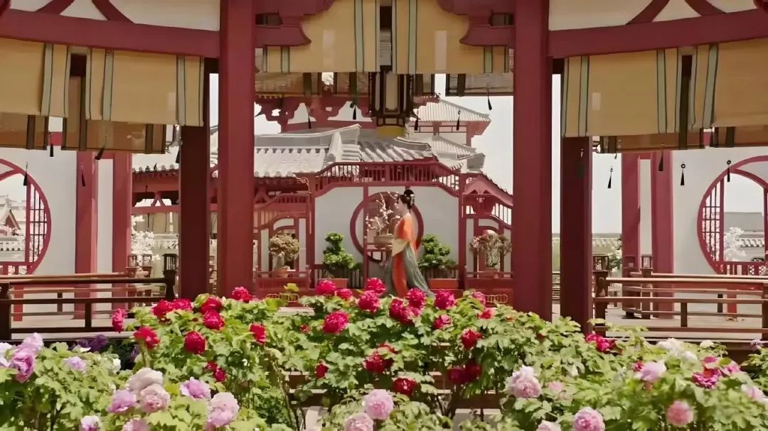 从荧幕到公园!“北京大视听”如何让菏泽牡丹、北疆草原借剧“出圈”? 从荧幕到公园!“北京大视听”如何让菏泽牡丹、北疆草原借剧“出圈”?