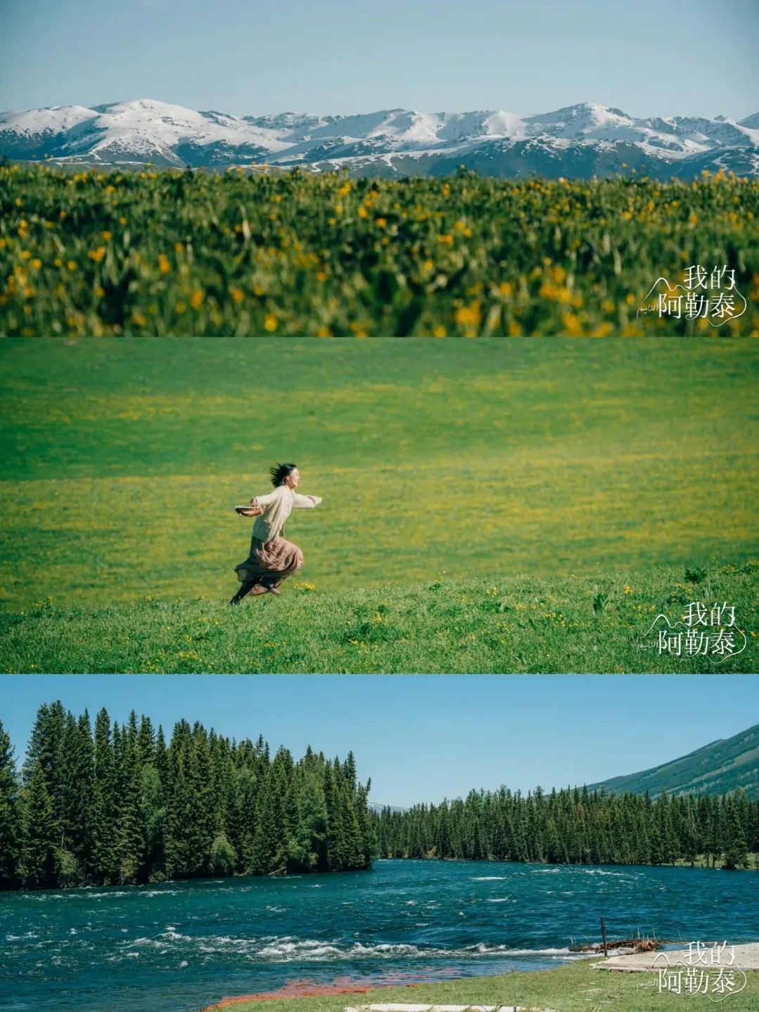 从荧幕到公园!“北京大视听”如何让菏泽牡丹、北疆草原借剧“出圈”? 从荧幕到公园!“北京大视听”如何让菏泽牡丹、北疆草原借剧“出圈”?