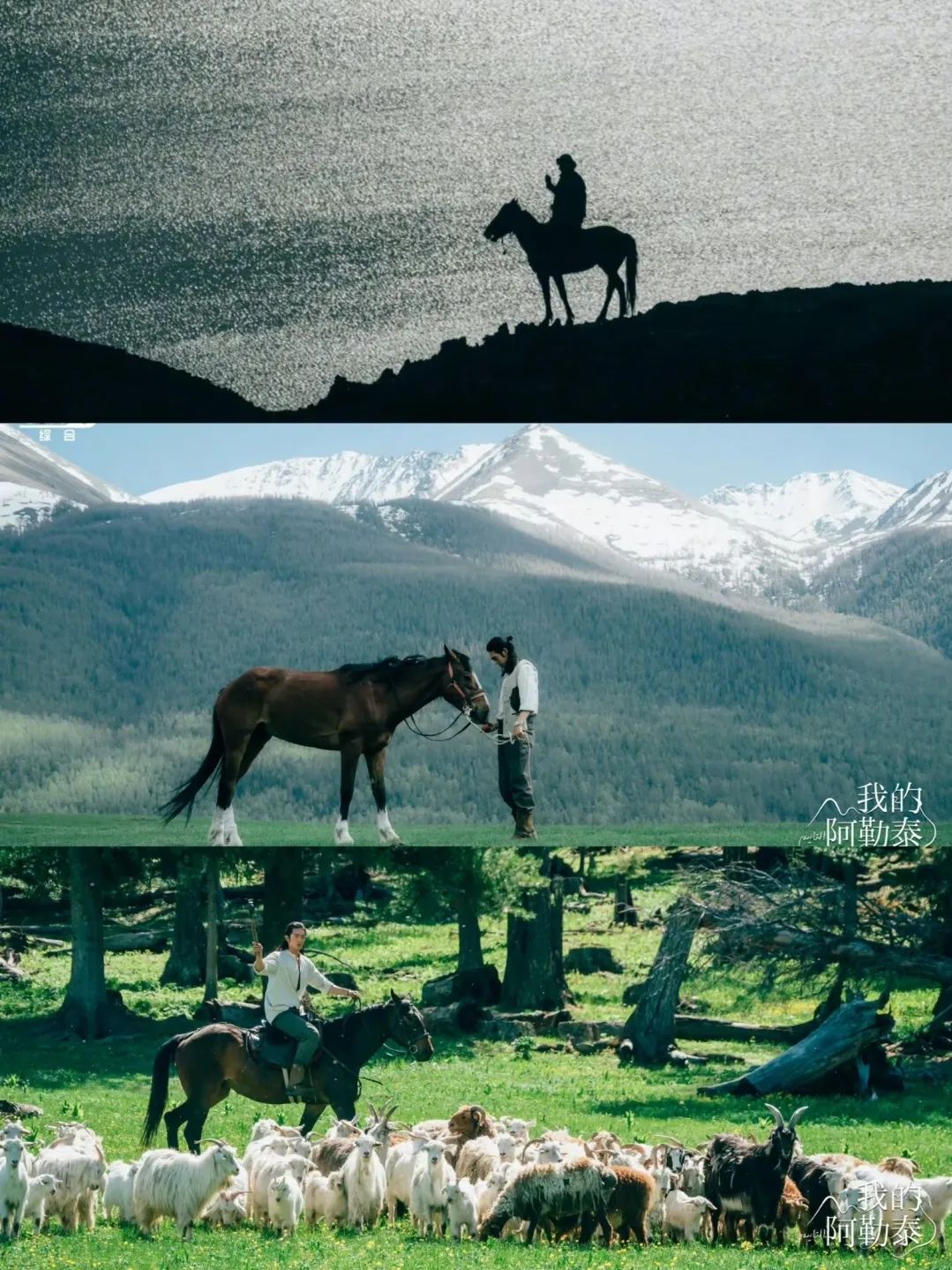 从荧幕到公园!“北京大视听”如何让菏泽牡丹、北疆草原借剧“出圈”? 从荧幕到公园!“北京大视听”如何让菏泽牡丹、北疆草原借剧“出圈”?