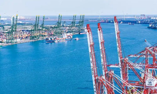 海河“春潮”日益新