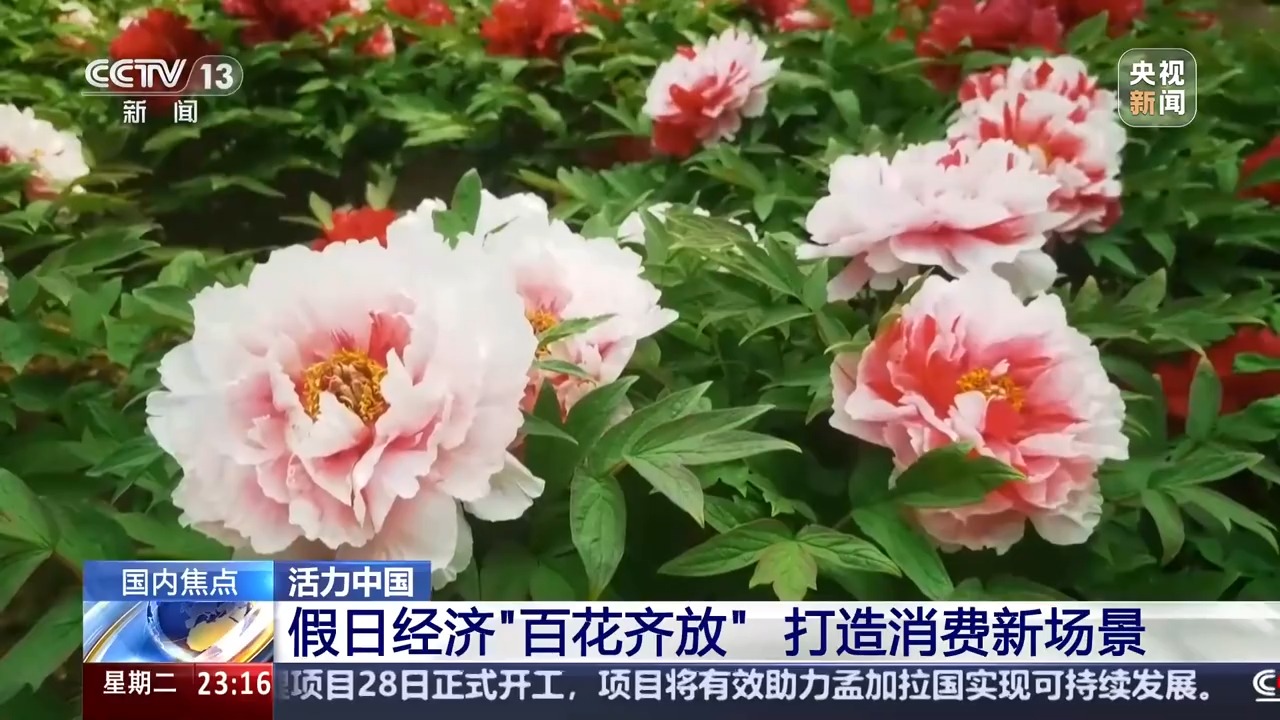 假日经济“百花齐放” 来看看五一假期有哪些新玩法