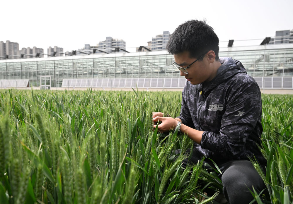 经济大省挑大梁｜大河奔流勇争先——河南奋力谱写中国式现代化出彩篇章