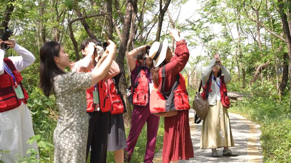 新业态、新场景、新模式点燃消费新引擎