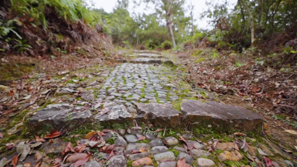 《徐霞客地理》开播,跟“史上最强旅游搭子”一起出发