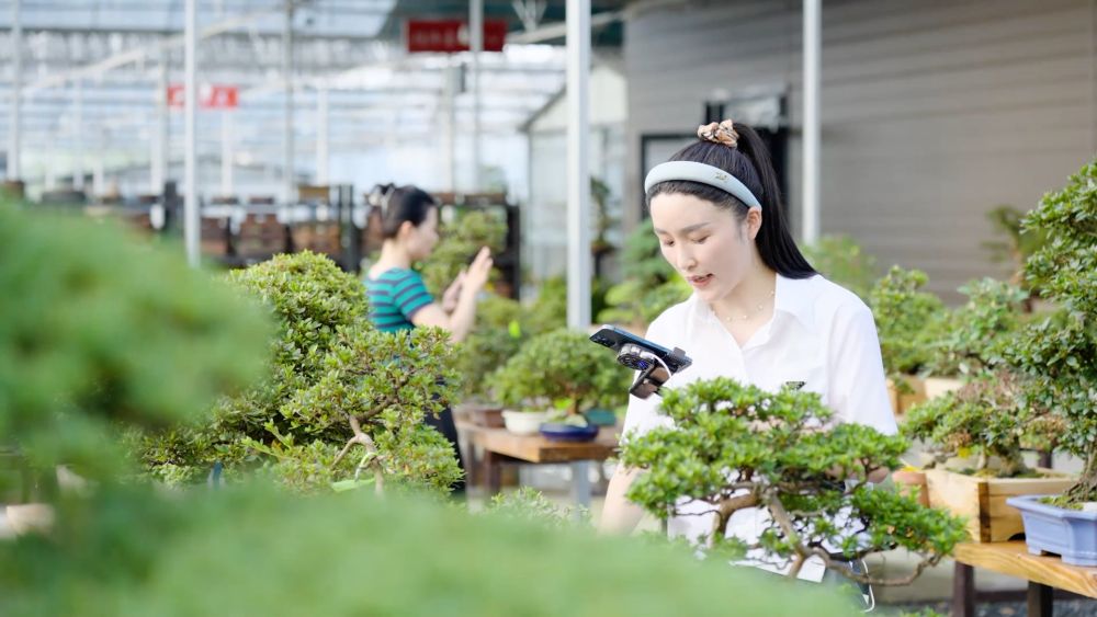 新华视点｜多措并举打好稳就业“组合拳”