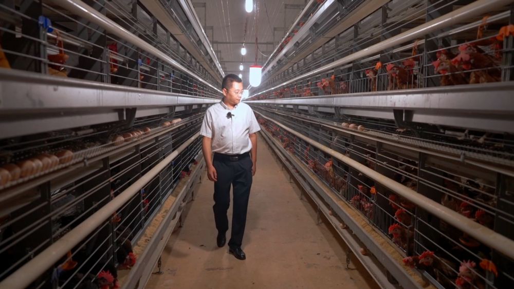 新华视点｜多措并举打好稳就业“组合拳”