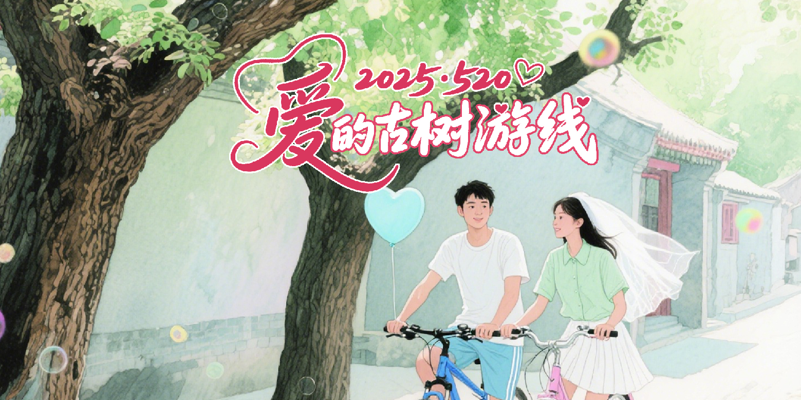 以爱之名！北京发布“520爱的古树游线”，解锁古都的极致浪漫