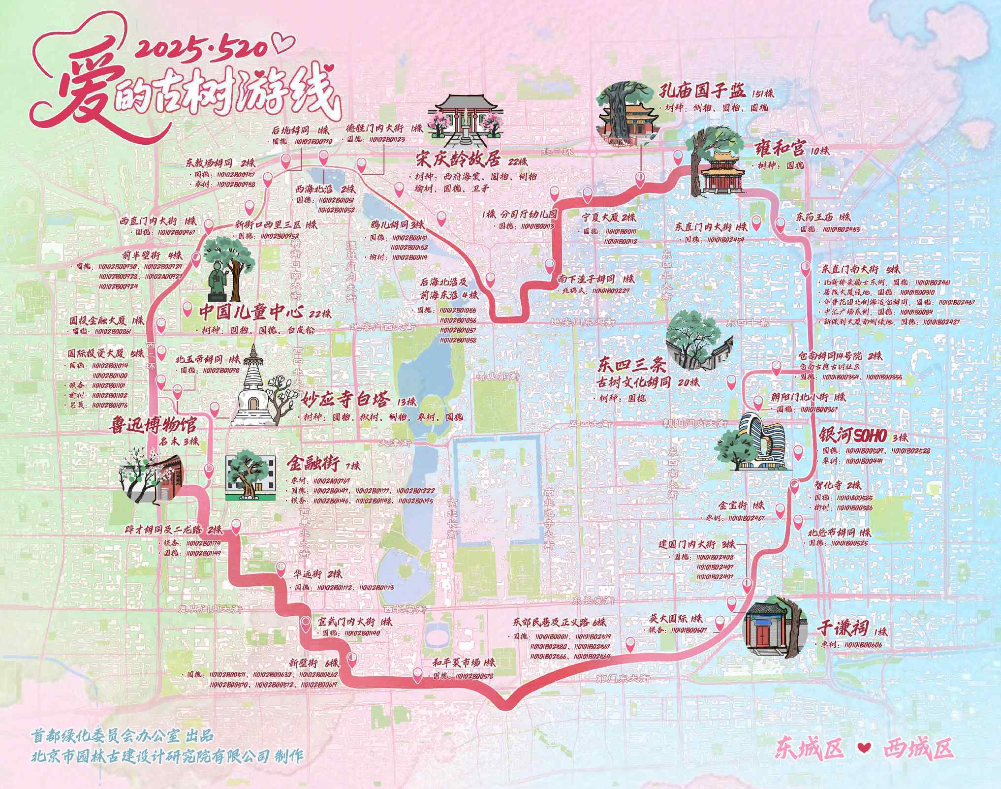 以爱之名！北京发布“520爱的古树游线”，解锁古都的极致浪漫
