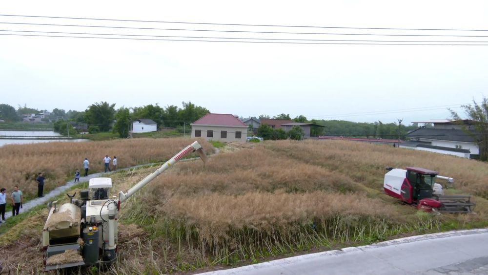 新华视点｜土地生金：乡村经济增长新引擎