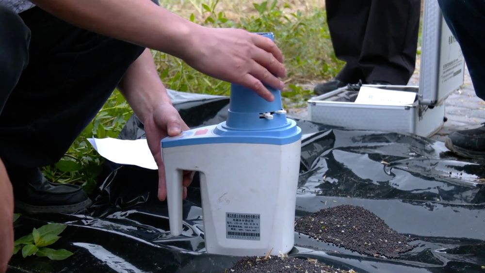 新华视点｜土地生金：乡村经济增长新引擎