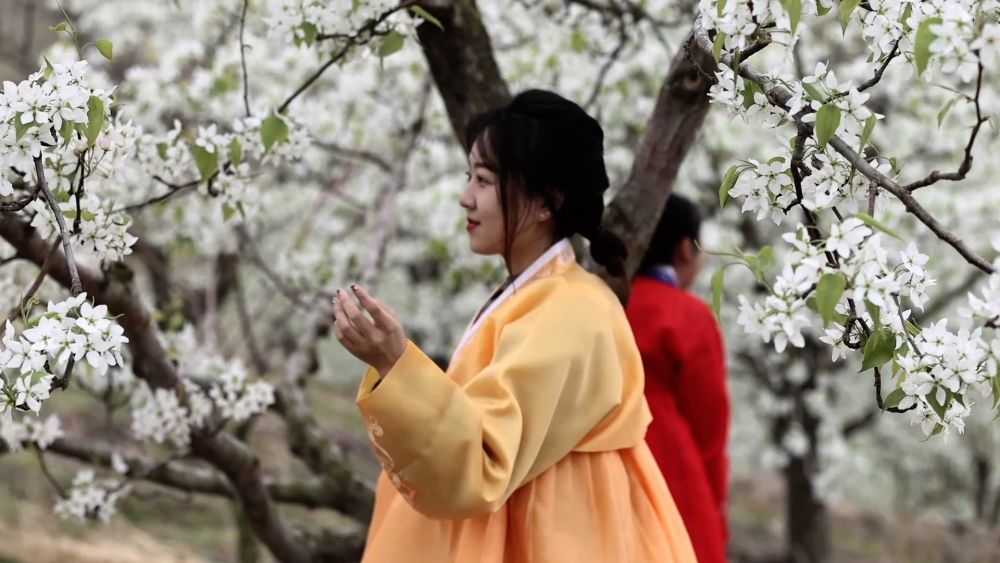 新华视点｜土地生金：乡村经济增长新引擎