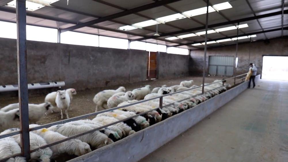 新华视点｜土地生金：乡村经济增长新引擎