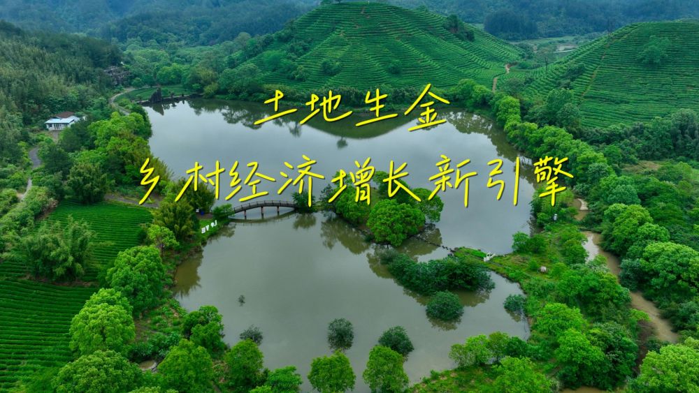 新华视点｜土地生金：乡村经济增长新引擎