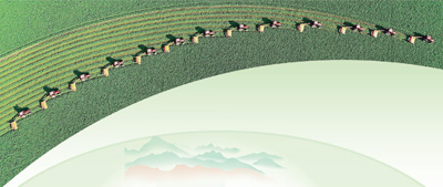 用光影记录乡村全面振兴新画卷(新时代画卷)