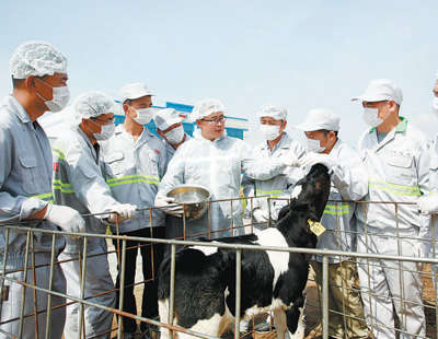 用光影记录乡村全面振兴新画卷(新时代画卷)