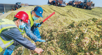 用光影记录乡村全面振兴新画卷(新时代画卷)