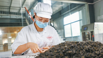 用光影记录乡村全面振兴新画卷(新时代画卷)