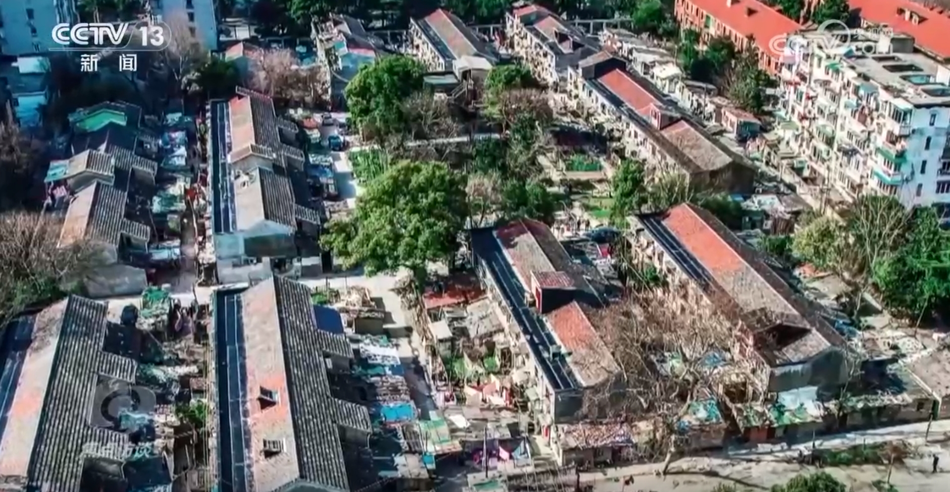 焦点访谈|15分钟生活圈、社区食堂……城市更新让居民幸福感原地升级