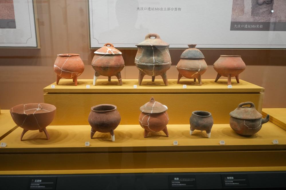 “祖先比我们想象的先进得多”——考古工作者泰山脚下探寻中华文明起源