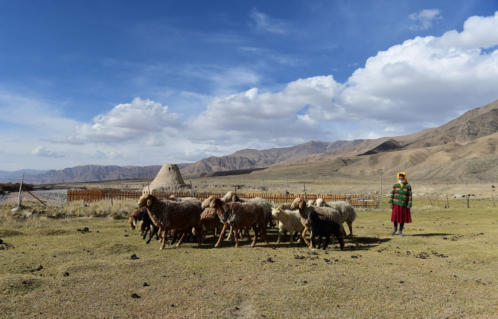 跟着环塔游新疆|喀什篇:穿古城,触云端,天地大美 跟着环塔游新疆|喀什篇:穿古城,触云端,天地大美