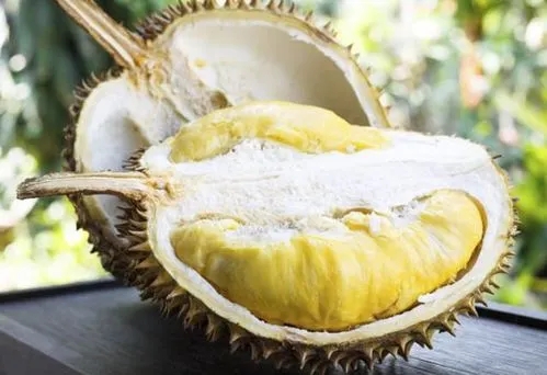 以法治之力打击山寨食品