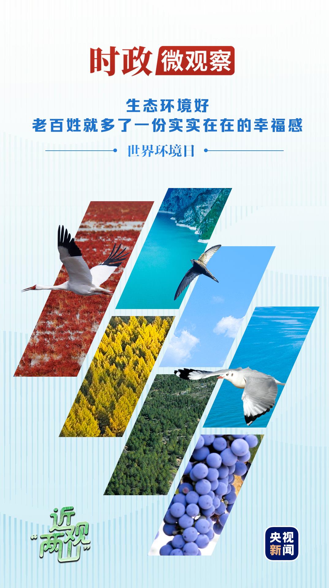 近观“两山”丨多彩中国 近观“两山”丨多彩中国