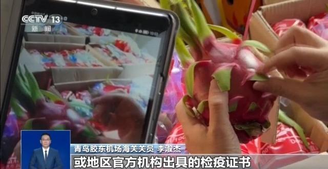 @铲屎官们 养“异宠”或危害国家安全 这些行为违法了