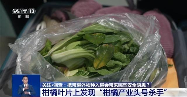 @铲屎官们 养“异宠”或危害国家安全 这些行为违法了