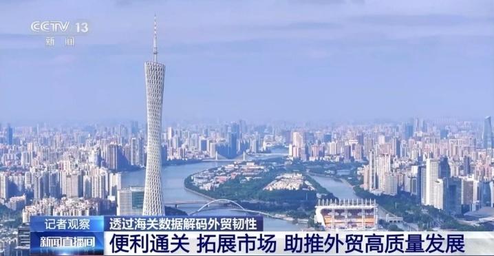 前5个月外贸运行有何特点、亮点？一组数据带你看