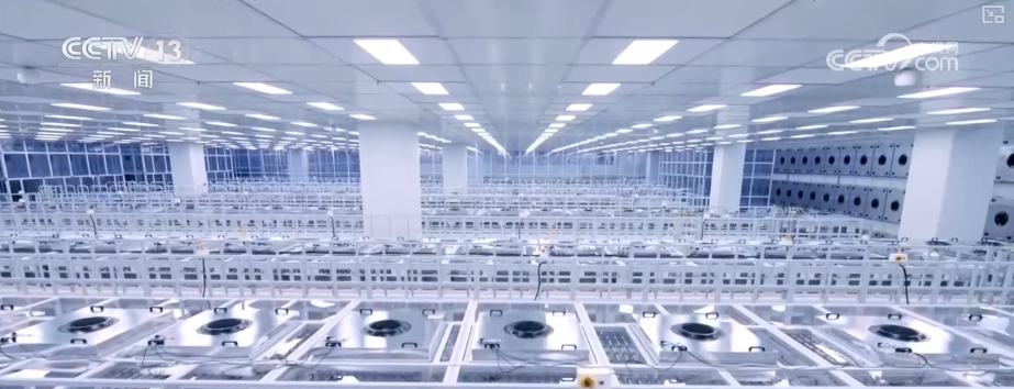 “屏”常可见从1到N“加速跑” “千锤百炼”锻造硬实力释放千亿级大市场