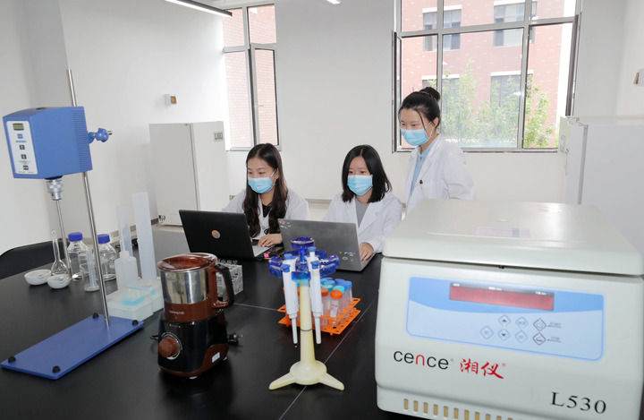 创新“叶脉”正在生长——天津科教融汇激发城市发展新势能 创新“叶脉”正在生长——天津科教融汇激发城市发展新势能