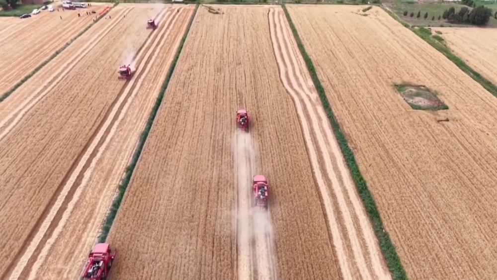 新华视点|抢农时 护丰收 多维度保障“三夏”生产 新华视点|抢农时 护丰收 多维度保障“三夏”生产