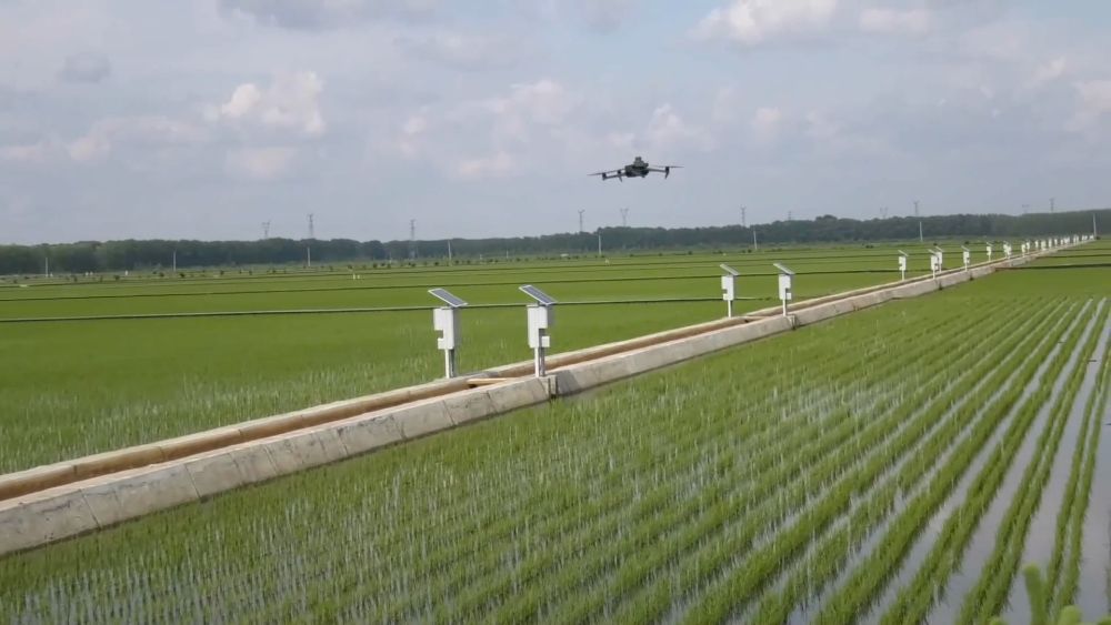 新华视点|抢农时 护丰收 多维度保障“三夏”生产 新华视点|抢农时 护丰收 多维度保障“三夏”生产