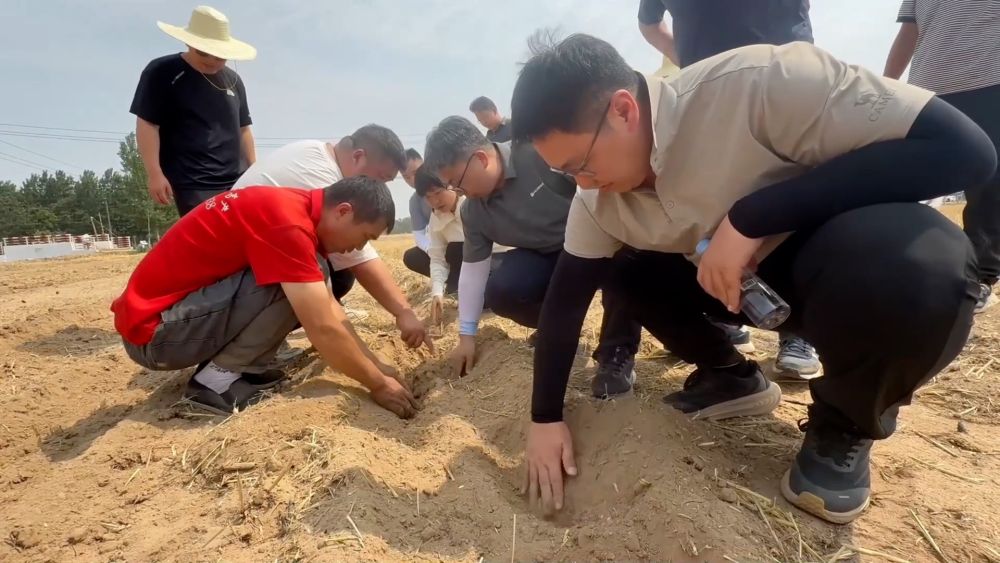 新华视点｜抢农时 护丰收 多维度保障“三夏”生产