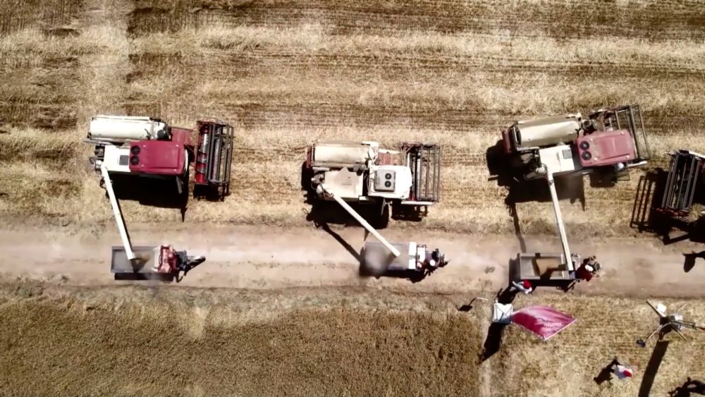 新华视点|抢农时 护丰收 多维度保障“三夏”生产 新华视点|抢农时 护丰收 多维度保障“三夏”生产