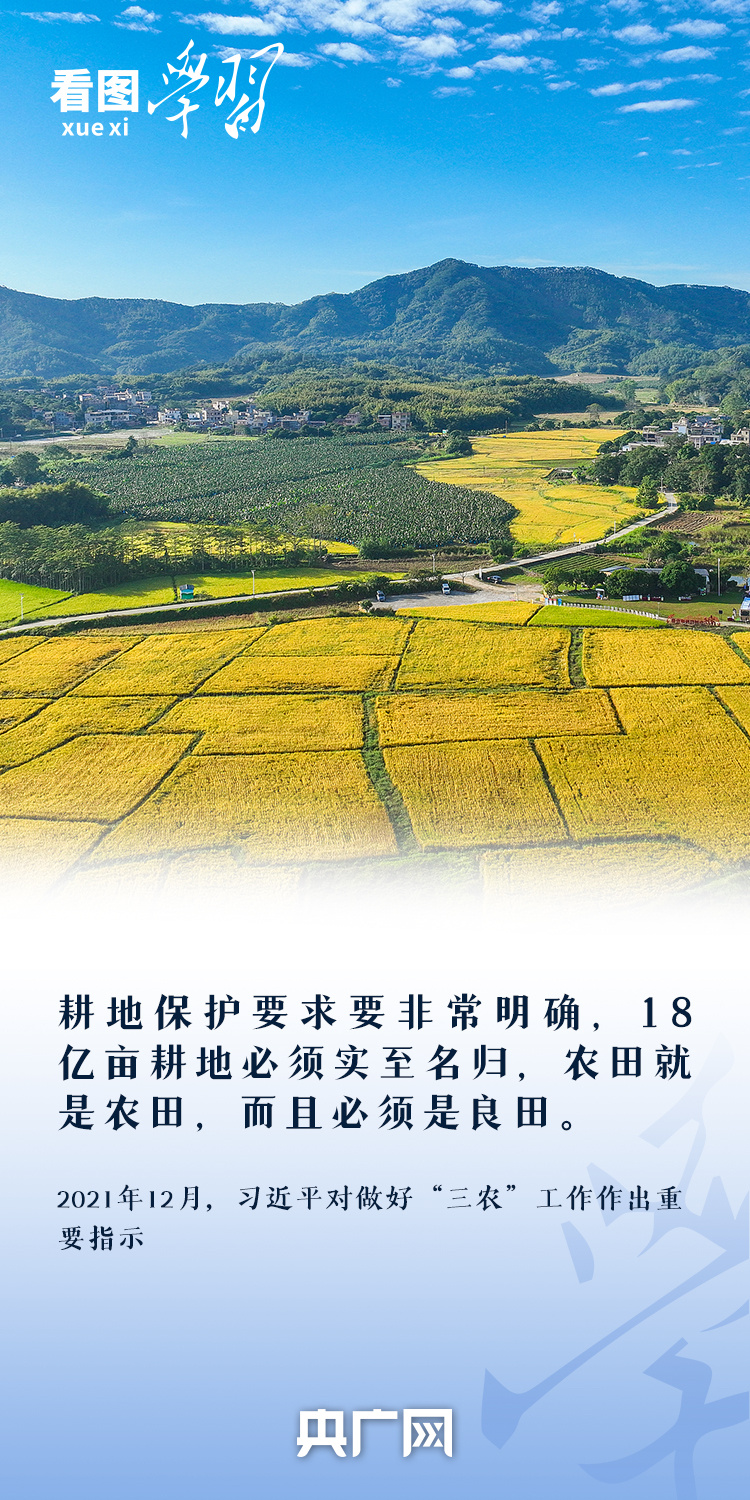 看图学习丨“守住耕地这个命根子” 总书记心系耕地保护