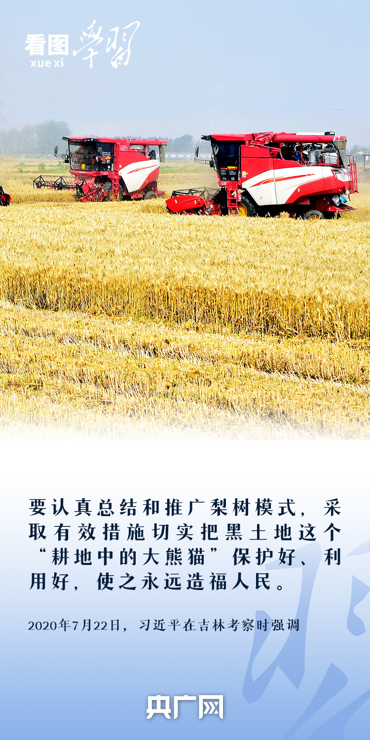 看图学习丨“守住耕地这个命根子” 总书记心系耕地保护